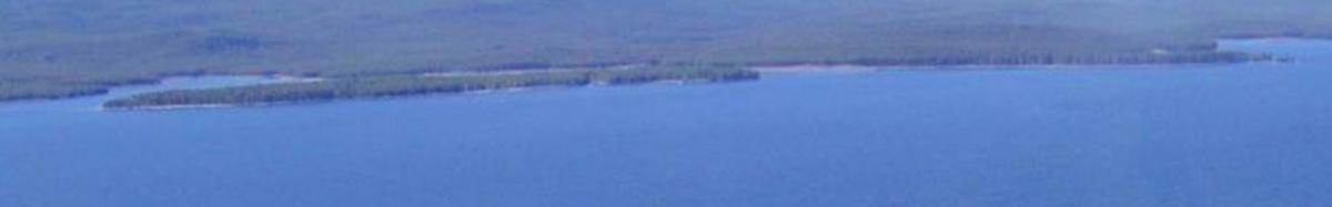Annual Water Allocation